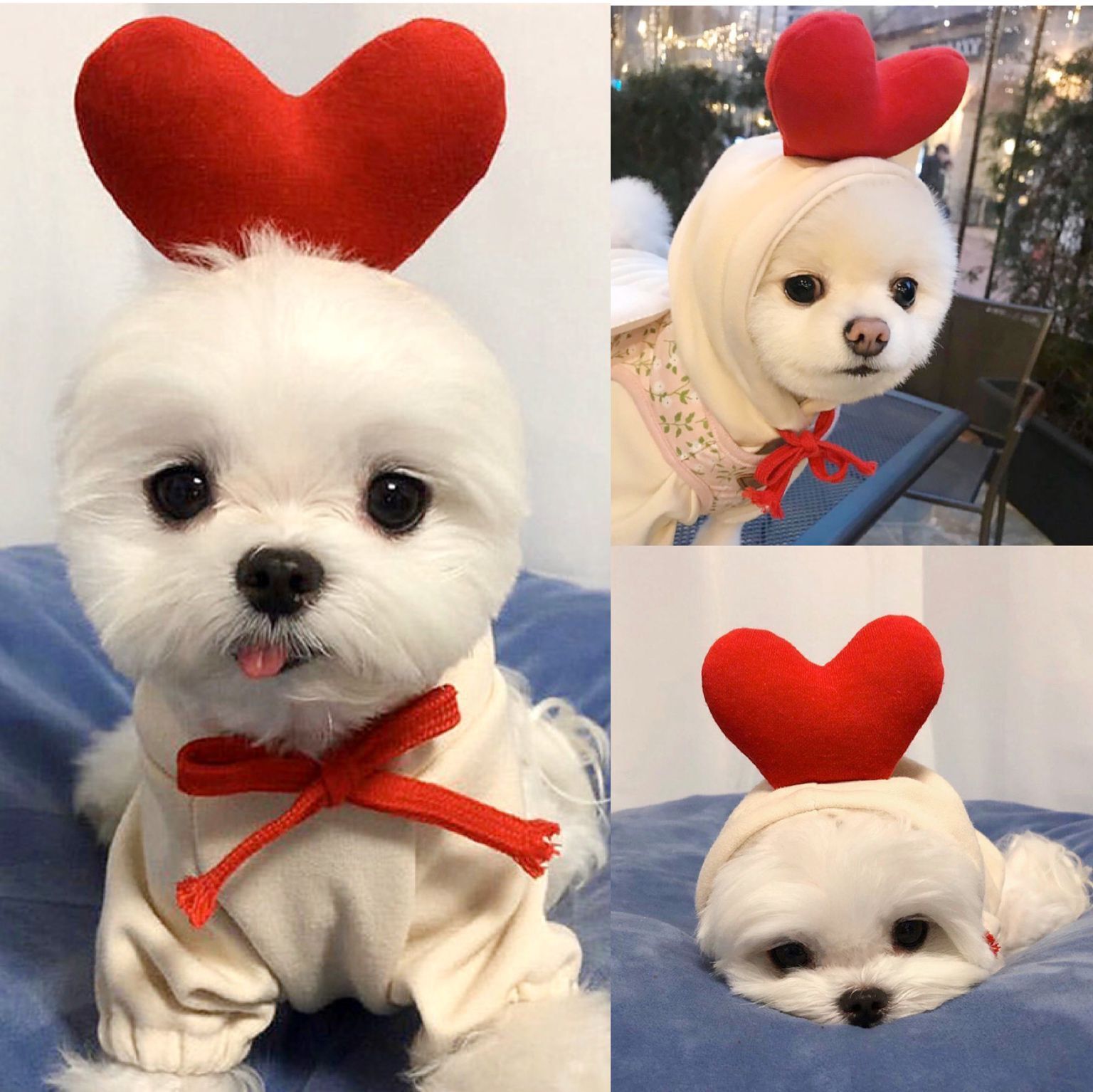 Cute Fruit Dog Hoodie Winter Warm Fleece Pet Clothes for Small Dogs Cats Chihuahua French Bulldog Puppy Costume Coat