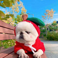 Cute Fruit Dog Hoodie Winter Warm Fleece Pet Clothes for Small Dogs Cats Chihuahua French Bulldog Puppy Costume Coat