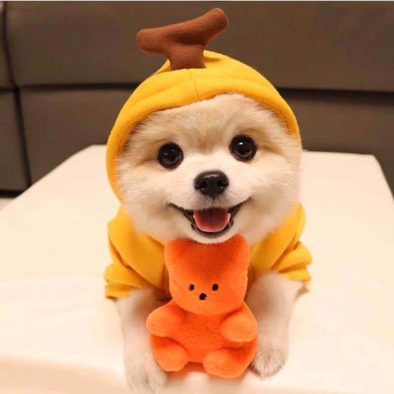 Cute Fruit Dog Hoodie Winter Warm Fleece Pet Clothes for Small Dogs Cats Chihuahua French Bulldog Puppy Costume Coat