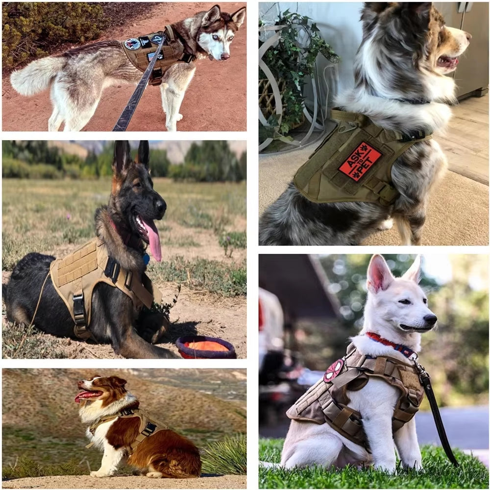 Luxury Dog Harness and Leash Set Adjustable Nylon Camouflage Chest Harness for Small Medium Large Dogs Pet Walking Safety Harness