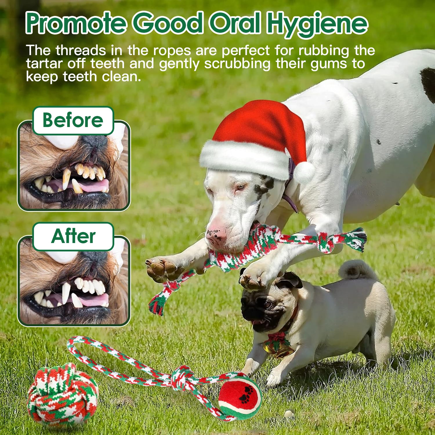 Set of 5 Christmas Dog Rope Chew Toys Interactive Pet Toy Set for Puppies Small Medium Large Dogs Aggressive Chewers Training Teething Toys