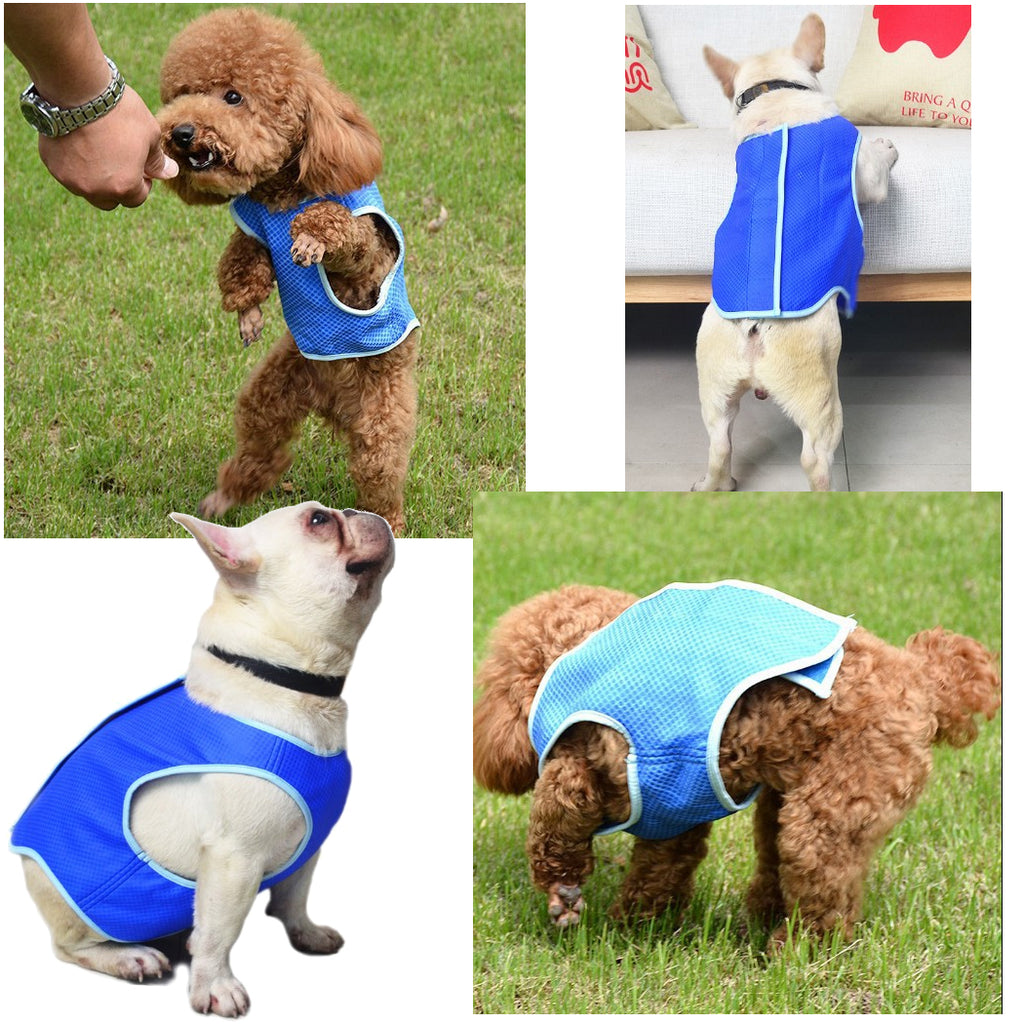 Dog Cooling Vest Summer Heat Relief Pet Clothes for Dogs & Cats Breathable Cooling Jacket for Small Dogs Puppy Outdoor Wear