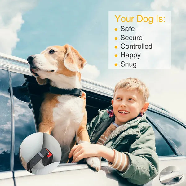2 Pack Dog Seat Belt Leash Adjustable Pet Safety Harness Car Travel Restraint for Dogs , Universal Vehicle Leads