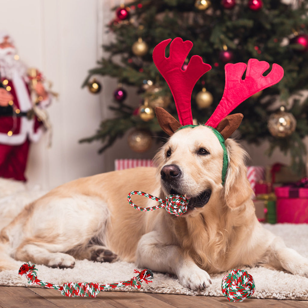 Set of 5 Christmas Dog Rope Chew Toys Interactive Pet Toy Set for Puppies Small Medium Large Dogs Aggressive Chewers Training Teething Toys