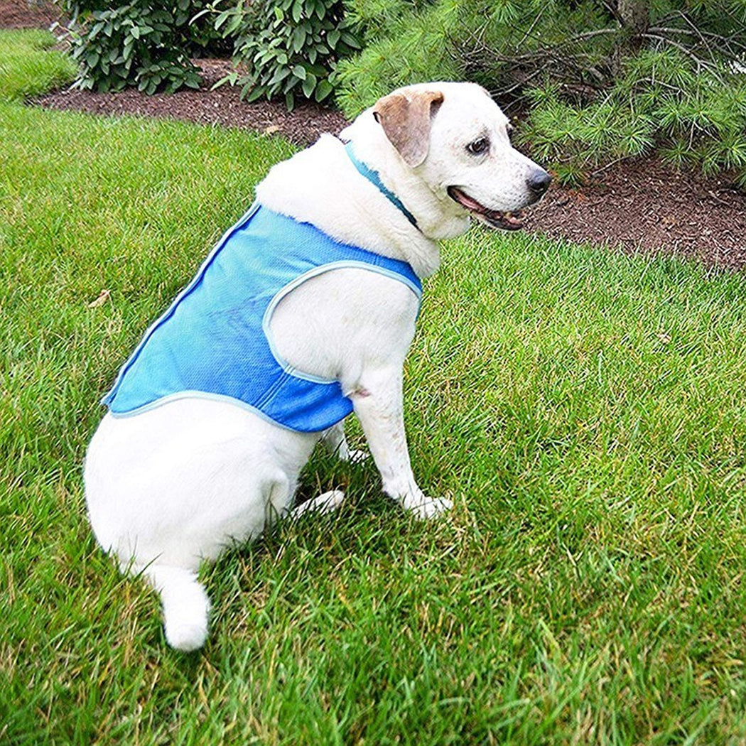 Dog Cooling Vest Summer Heat Relief Pet Clothes for Dogs & Cats Breathable Cooling Jacket for Small Dogs Puppy Outdoor Wear