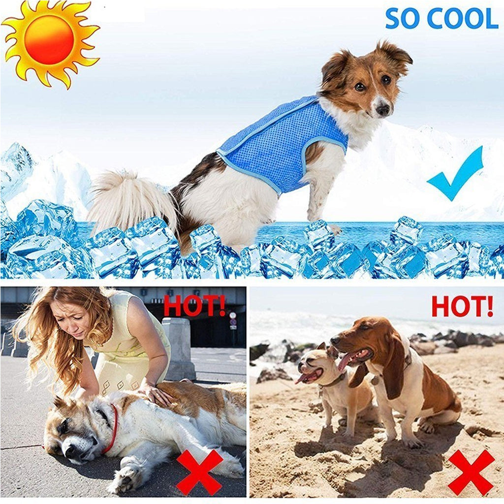 Dog Cooling Vest Summer Heat Relief Pet Clothes for Dogs & Cats Breathable Cooling Jacket for Small Dogs Puppy Outdoor Wear