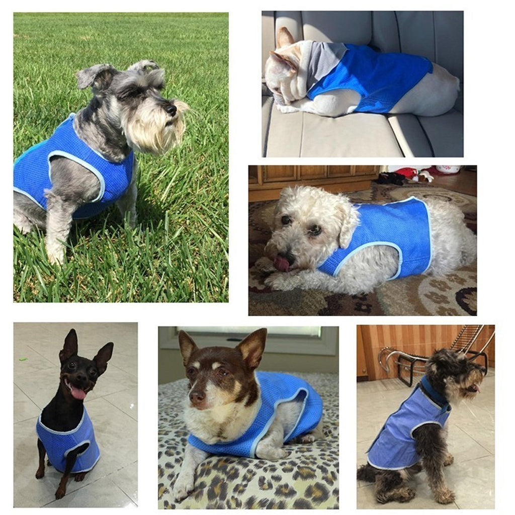 Dog Cooling Vest Summer Heat Relief Pet Clothes for Dogs & Cats Breathable Cooling Jacket for Small Dogs Puppy Outdoor Wear